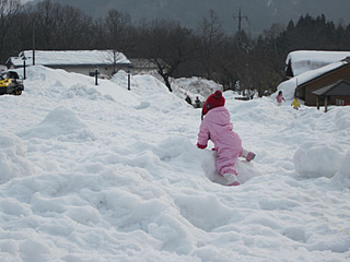 「マキノ高原」全体が雪遊びゾーン☆