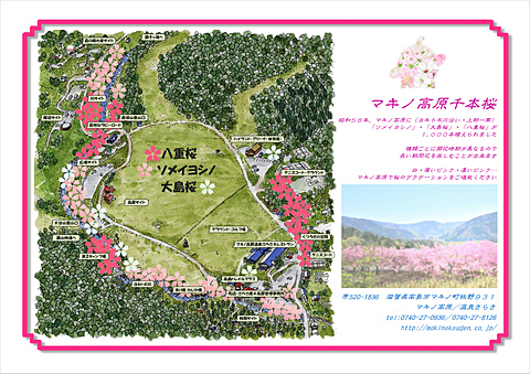 マキノ高原桜マップ